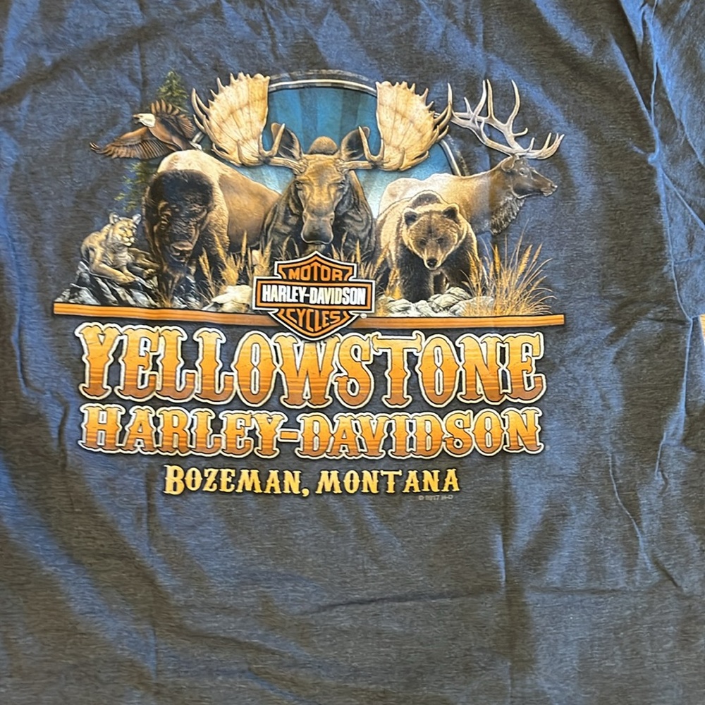 Harley Davidson Yellowstone Montana Bozeman motorcycles large T-shirt